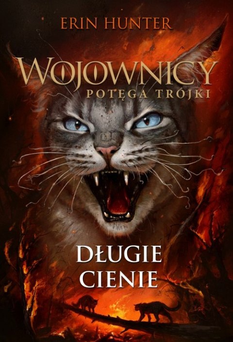 Długie cienie Długie cienie