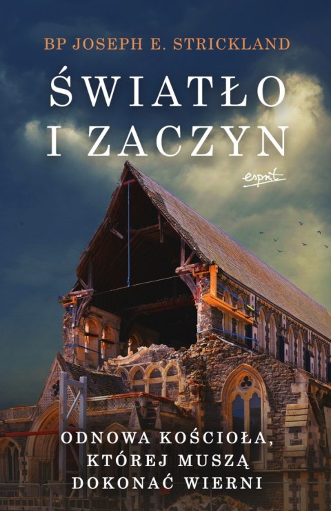 Światło i zaczyn. Odnowa Kościoła, której muszą dokonać wierni Światło i zaczyn. Odnowa Kościoła, której muszą dokonać wierni