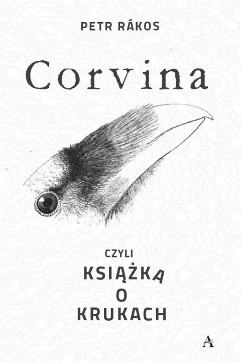 Corvina, czyli książka o krukach Corvina, czyli książka o krukach