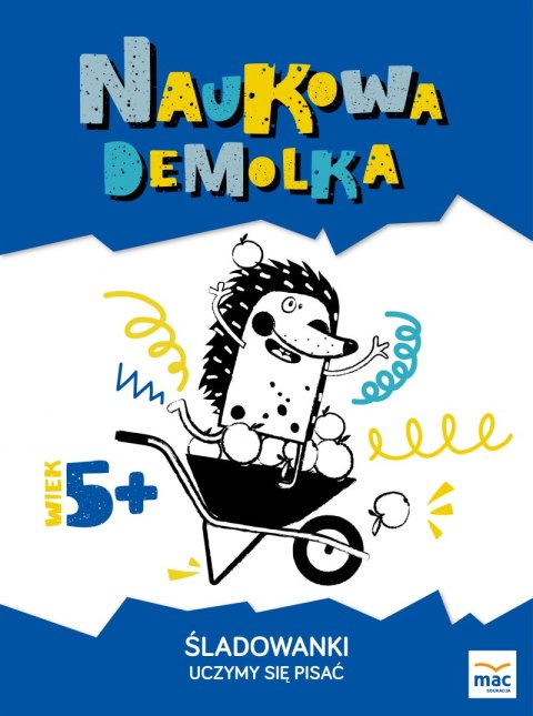 Śladowanki uczymy się pisać naukowa demolka Śladowanki uczymy się pisać naukowa demolka