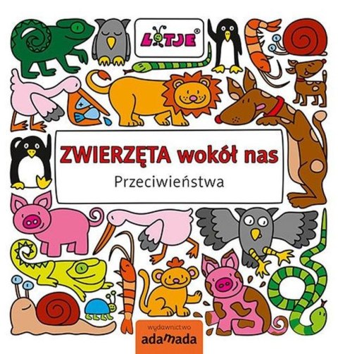 Przeciwieństwa. Zwierzęta wokół nas Przeciwieństwa. Zwierzęta wokół nas