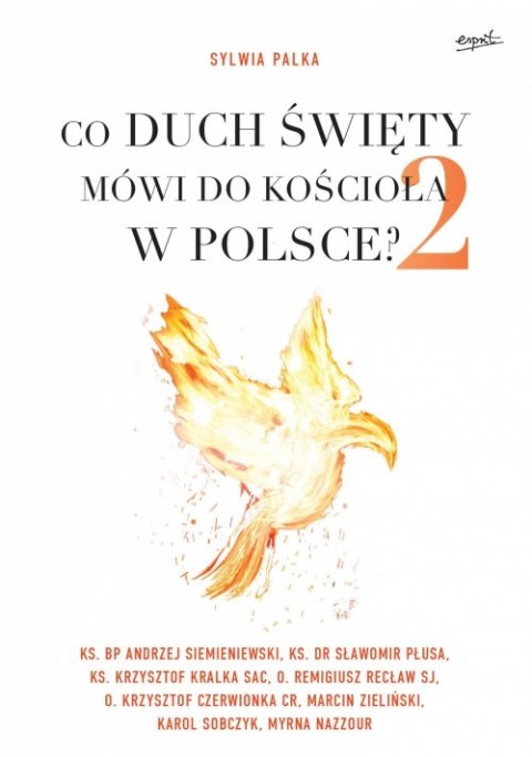 Co duch święty mówi do kościoła w Polsce Tom 2 Co duch święty mówi do kościoła w Polsce Tom 2