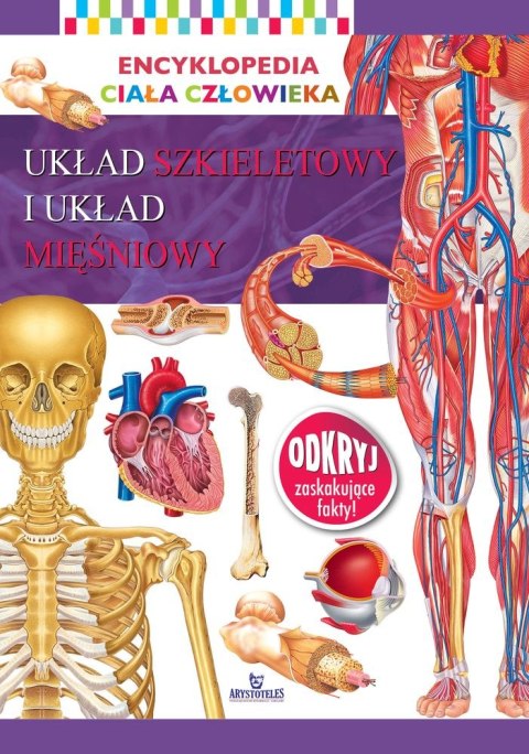 Układ szkieletowy i układ mięśniowy. Encyklopedia ciała człowieka Układ szkieletowy i układ mięśniowy. Encyklopedia ciała człowieka