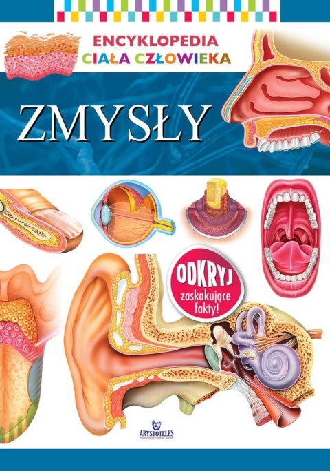 Zmysły. Encyklopedia ciała człowieka Zmysły. Encyklopedia ciała człowieka