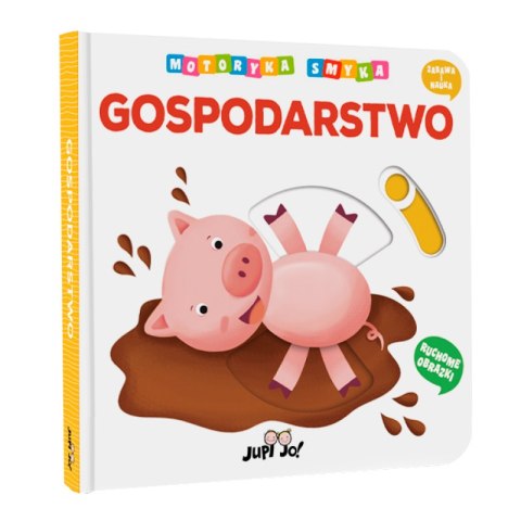 Gospodarstwo. Motoryka Smyka Gospodarstwo. Motoryka Smyka