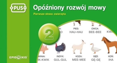 PUS Opóźniony rozwój mowy 2 PUS Opóźniony rozwój mowy 2
