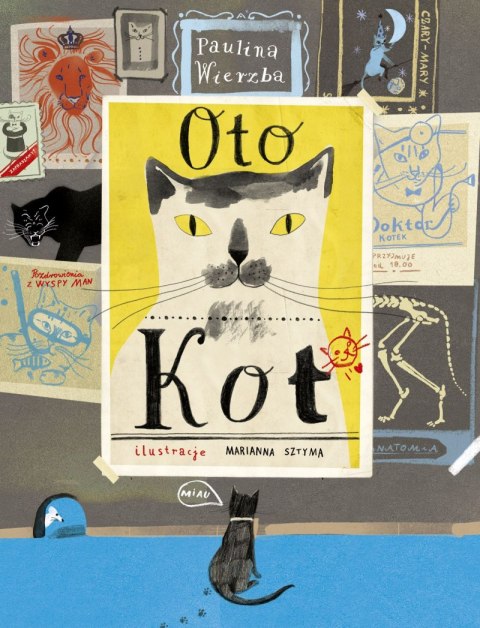 Oto kot Oto kot
