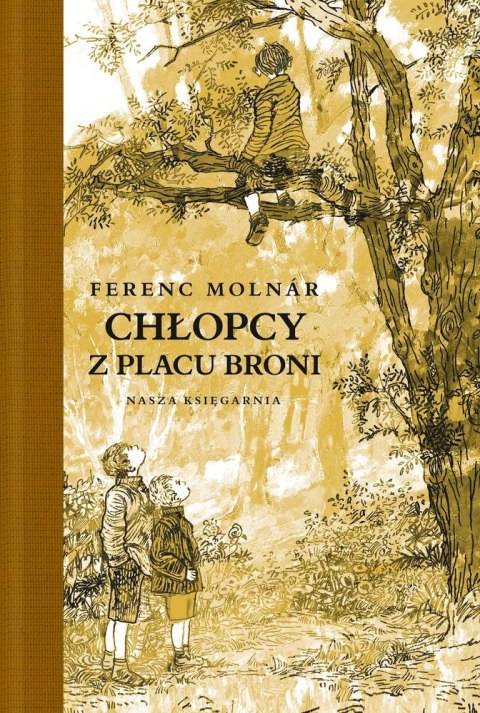 Chłopcy z placu broni wyd. 18 Chłopcy z placu broni wyd. 18