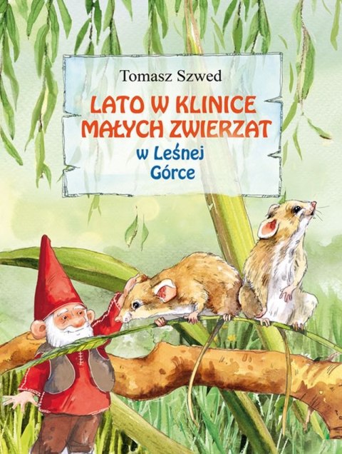 Lato w Klinice Małych Zwierząt w Leśnej Górce Lato w Klinice Małych Zwierząt w Leśnej Górce