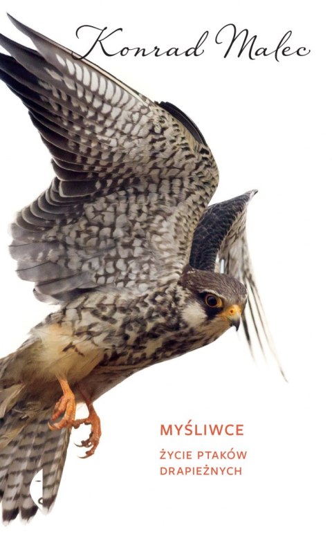 Myśliwce Myśliwce