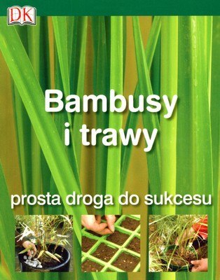 Bambusy i trawy prosta droga do sukcesu Bambusy i trawy prosta droga do sukcesu