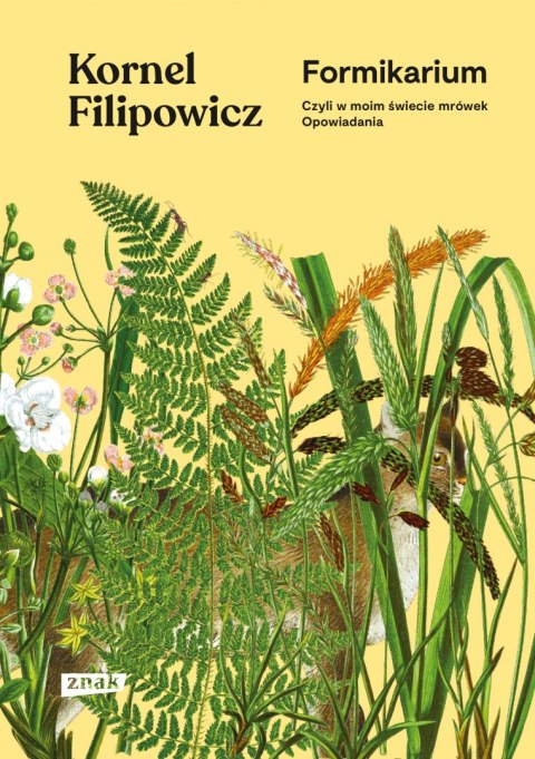 Formikarium, czyli w moim świecie mrówek. Opowiadania Formikarium, czyli w moim świecie mrówek. Opowiadania