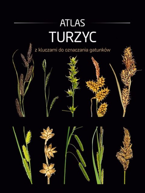Atlas turzyc z kluczami do oznaczania gatunków