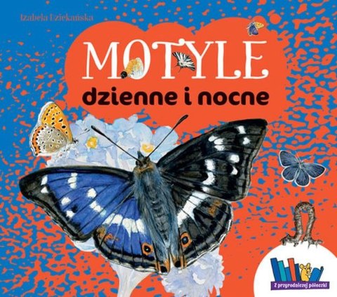 Motyle dzienne i nocne z przyrodniczej półeczki Motyle dzienne i nocne z przyrodniczej półeczki
