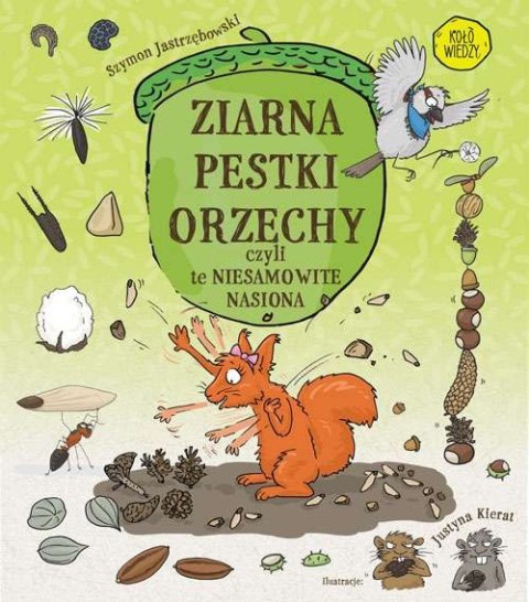 Ziarna pestki orzechy czyli te niesamowite nasiona Ziarna pestki orzechy czyli te niesamowite nasiona