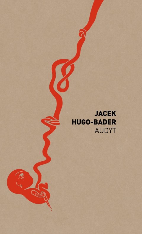 Audyt Audyt