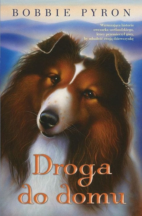 Droga do domu Droga do domu