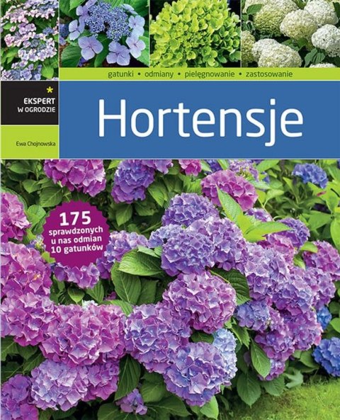 Hortensje Hortensje