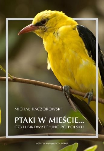 Ptaki w mieście czyli birdwatching po polsku Ptaki w mieście czyli birdwatching po polsku