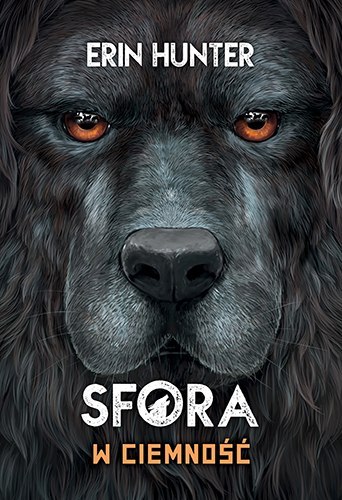 W ciemność. Sfora. Tom 3 W ciemność. Sfora. Tom 3
