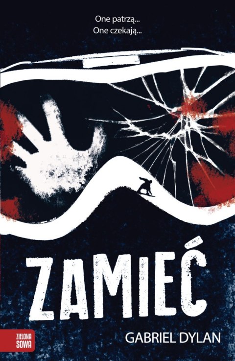 Zamieć Zamieć