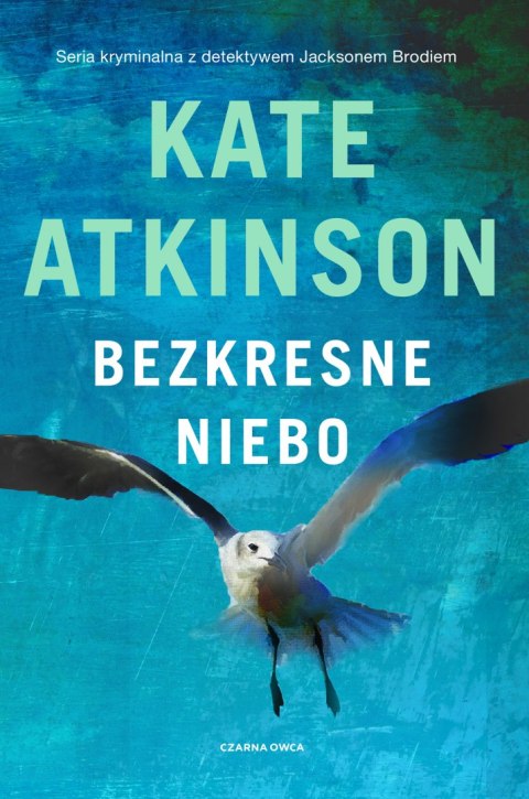 Bezkresne niebo Bezkresne niebo
