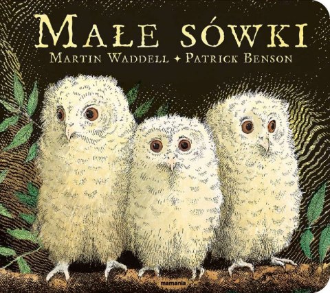 Małe sówki Małe sówki