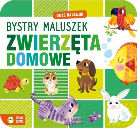 Zwierzęta domowe. Bystry maluszek Zwierzęta domowe. Bystry maluszek