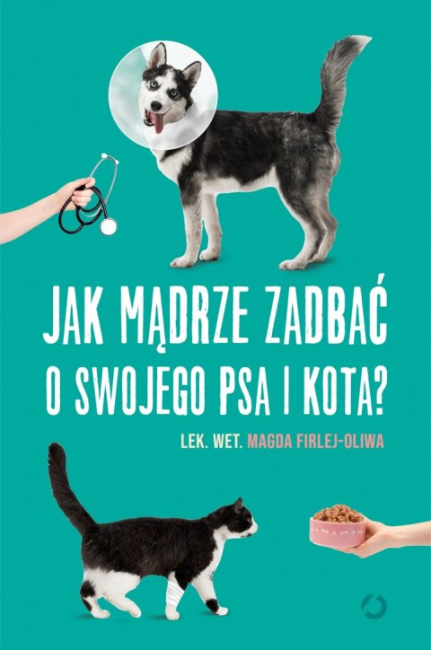 Jak mądrze zadbać o swojego psa i kota? Jak mądrze zadbać o swojego psa i kota?