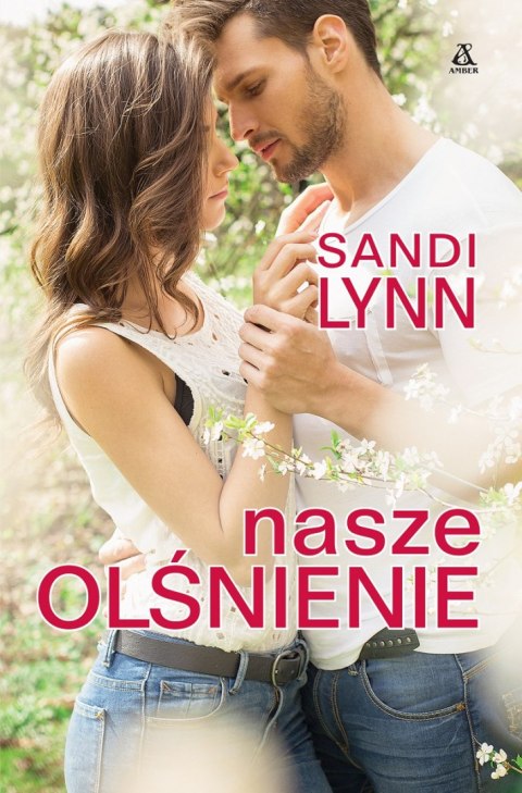 Nasze olśnienie wyd. 2 Nasze olśnienie wyd. 2