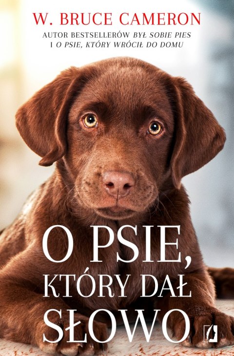 O psie, który dał słowo O psie, który dał słowo
