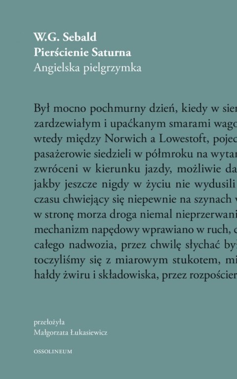 Pierścienie Saturna Pierścienie Saturna