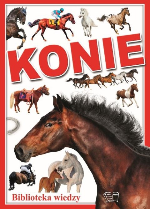 Konie Konie