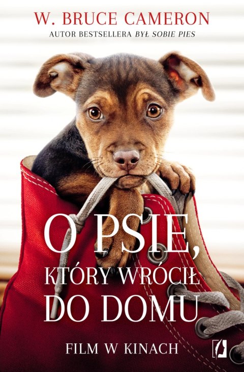 O psie, który wrócił do domu. Wydanie kieszonkowe O psie, który wrócił do domu. Wydanie kieszonkowe