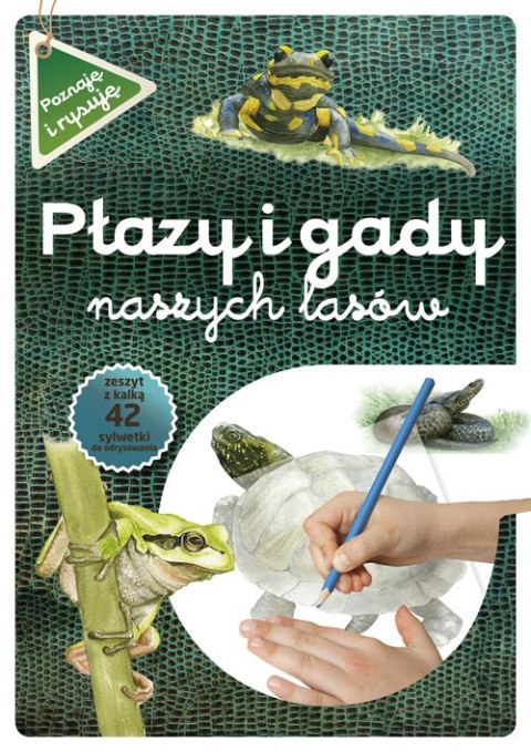 Płazy i gady naszych lasów wyd. 2021 Płazy i gady naszych lasów wyd. 2021