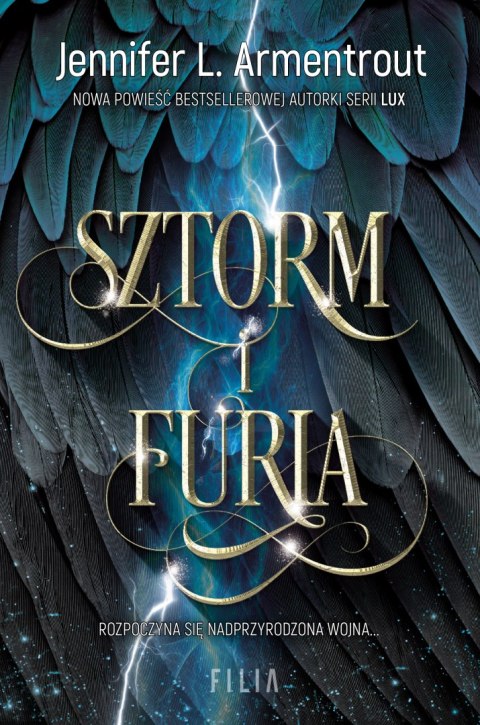 Sztorm i furia Sztorm i furia