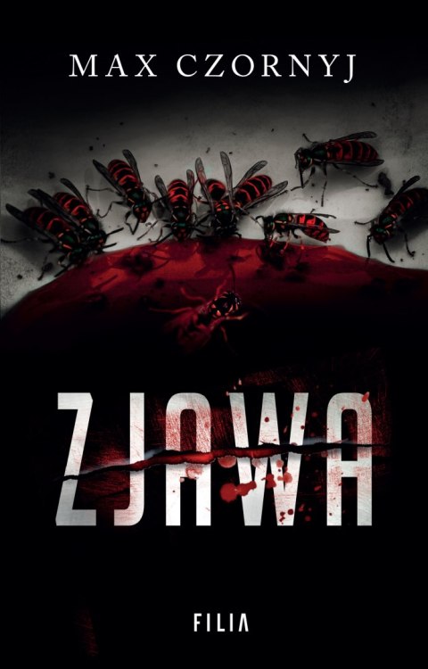 Zjawa Zjawa