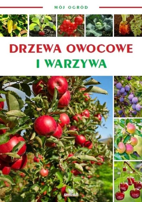 Drzewa owocowe i warzywa. Mój ogród Drzewa owocowe i warzywa. Mój ogród