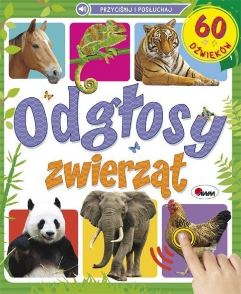 Odgłosy zwierząt. 60 dźwięków Odgłosy zwierząt. 60 dźwięków