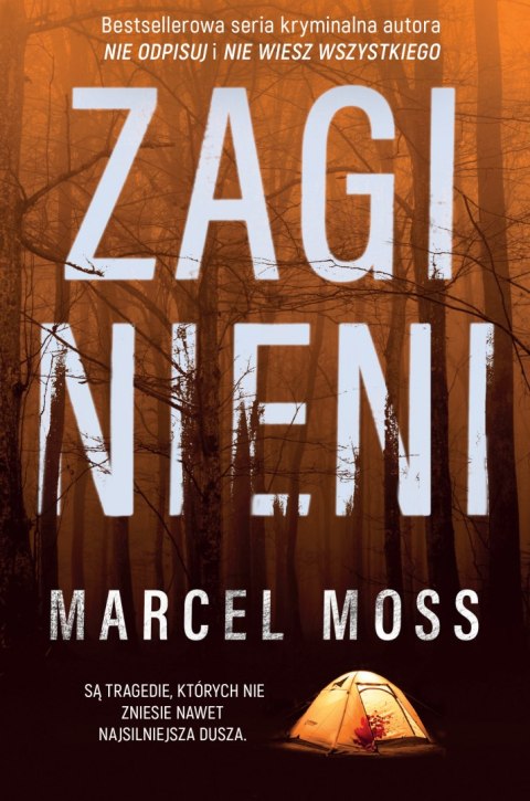 Zaginieni Zaginieni