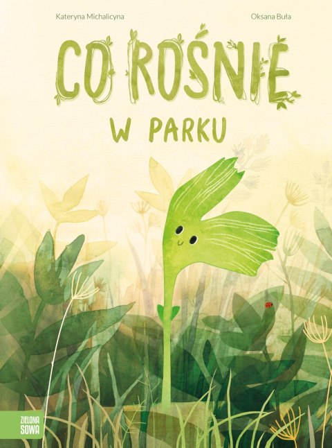 Co rośnie w parku Co rośnie w parku