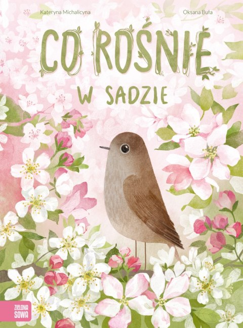 Co rośnie w sadzie Co rośnie w sadzie
