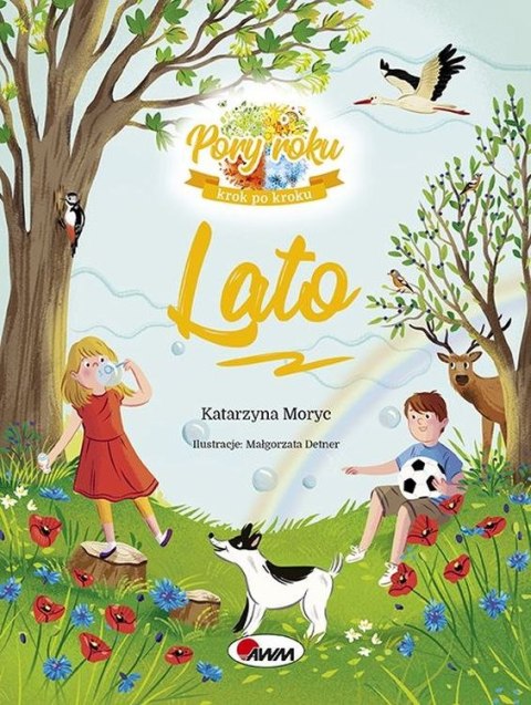 Lato pory roku krok po kroku Lato pory roku krok po kroku