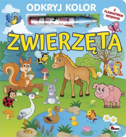 Zwierzęta. Odkryj kolor Zwierzęta. Odkryj kolor