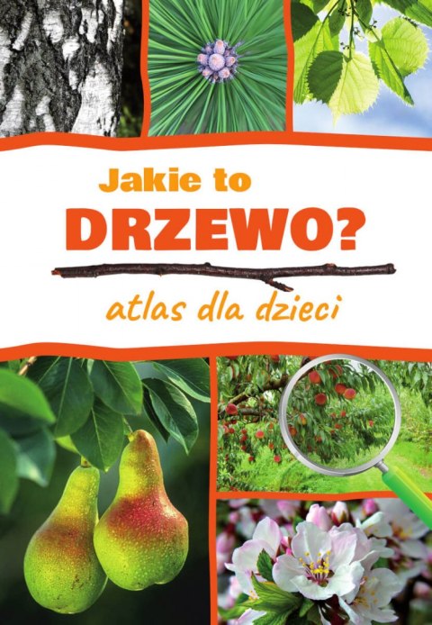 Jakie to drzewo? Atlas dla dzieci Jakie to drzewo? Atlas dla dzieci