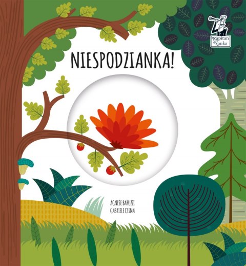 Niespodzianka. Magiczne koło. Kapitan Nauka Niespodzianka. Magiczne koło. Kapitan Nauka