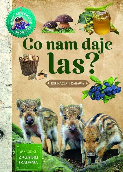 Co nam daje las. Młody obserwator przyrody Co nam daje las. Młody obserwator przyrody