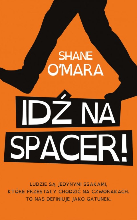 Idź na spacer Idź na spacer