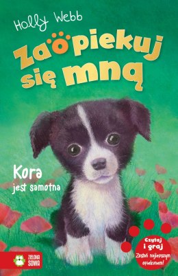 Kora jest samotna. Zaopiekuj się mną