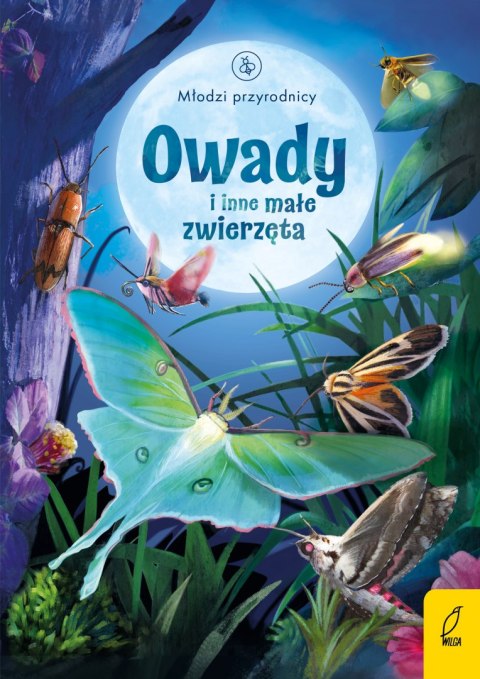 Owady i inne małe zwierzęta młodzi przyrodnicy Owady i inne małe zwierzęta młodzi przyrodnicy
